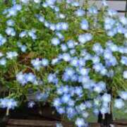 ヒメ日記 2025/05/08 14:20 投稿 千葉美弥子 五十路マダムエクスプレス横浜店（カサブランカグループ）