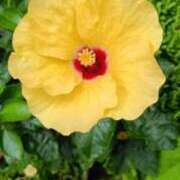 ヒメ日記 2025/09/18 08:00 投稿 千葉美弥子 五十路マダムエクスプレス横浜店（カサブランカグループ）