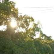 ヒメ日記 2025/12/30 15:56 投稿 千葉美弥子 五十路マダムエクスプレス横浜店（カサブランカグループ）