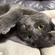 ヒメ日記 2025/03/29 20:52 投稿 西村祐子 五十路マダムエクスプレス横浜店（カサブランカグループ）