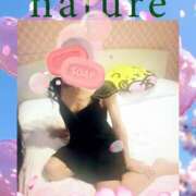 ヒメ日記 2025/04/06 10:26 投稿 西村祐子 五十路マダムエクスプレス横浜店（カサブランカグループ）