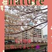 ヒメ日記 2025/04/09 19:32 投稿 西村祐子 五十路マダムエクスプレス横浜店（カサブランカグループ）