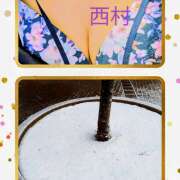 ヒメ日記 2026/02/08 14:32 投稿 西村祐子 五十路マダムエクスプレス横浜店（カサブランカグループ）