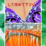 ヒメ日記 2026/02/22 09:16 投稿 西村祐子 五十路マダムエクスプレス横浜店（カサブランカグループ）