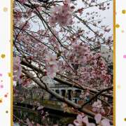 ヒメ日記 2026/03/20 13:42 投稿 西村祐子 五十路マダムエクスプレス横浜店（カサブランカグループ）