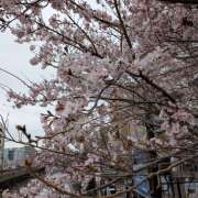 ヒメ日記 2026/03/23 20:40 投稿 西村祐子 五十路マダムエクスプレス横浜店（カサブランカグループ）