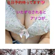 ヒメ日記 2026/03/27 14:36 投稿 西村祐子 五十路マダムエクスプレス横浜店（カサブランカグループ）