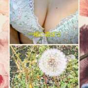 ヒメ日記 2026/04/06 08:16 投稿 西村祐子 五十路マダムエクスプレス横浜店（カサブランカグループ）