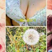 ヒメ日記 2026/04/11 10:38 投稿 西村祐子 五十路マダムエクスプレス横浜店（カサブランカグループ）