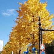 ヒメ日記 2024/12/09 13:16 投稿 下園一紗 五十路マダムエクスプレス横浜店（カサブランカグループ）