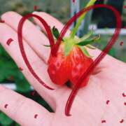 ヒメ日記 2025/04/15 11:22 投稿 下園一紗 五十路マダムエクスプレス横浜店（カサブランカグループ）