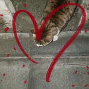 ヒメ日記 2025/05/01 10:04 投稿 下園一紗 五十路マダムエクスプレス横浜店（カサブランカグループ）