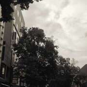 ヒメ日記 2025/06/16 10:54 投稿 下園一紗 五十路マダムエクスプレス横浜店（カサブランカグループ）