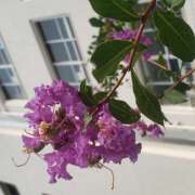 ヒメ日記 2025/08/22 15:10 投稿 下園一紗 五十路マダムエクスプレス横浜店（カサブランカグループ）