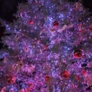 ヒメ日記 2024/12/23 09:48 投稿 岩瀬かりん 五十路マダムエクスプレス横浜店（カサブランカグループ）