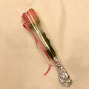 ヒメ日記 2025/04/03 09:36 投稿 岩瀬かりん 五十路マダムエクスプレス横浜店（カサブランカグループ）