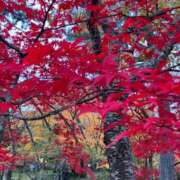 ヒメ日記 2025/11/22 09:54 投稿 岩瀬かりん 五十路マダムエクスプレス横浜店（カサブランカグループ）