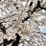 ヒメ日記 2026/03/27 17:32 投稿 相原璃沙 五十路マダムエクスプレス横浜店（カサブランカグループ）