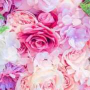 ヒメ日記 2025/08/26 20:37 投稿 羽川 のあ Canx2京都店