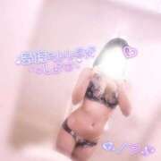 ヒメ日記 2026/02/15 12:17 投稿 羽川 のあ Canx2京都店