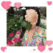 ヒメ日記 2025/06/28 11:00 投稿 君島千歳 五十路マダムエクスプレス横浜店（カサブランカグループ）