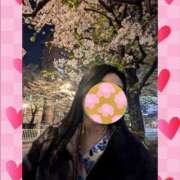 ヒメ日記 2026/03/29 13:54 投稿 君島千歳 五十路マダムエクスプレス横浜店（カサブランカグループ）