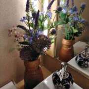 ヒメ日記 2025/06/19 12:30 投稿 吉井 羊 五十路マダムエクスプレス横浜店（カサブランカグループ）