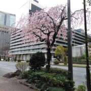 ヒメ日記 2026/04/04 12:28 投稿 吉井 羊 五十路マダムエクスプレス横浜店（カサブランカグループ）