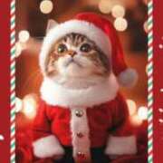 ヒメ日記 2024/12/23 17:38 投稿 早川まお 五十路マダムエクスプレス横浜店（カサブランカグループ）