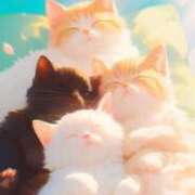 ヒメ日記 2025/02/22 14:02 投稿 早川まお 五十路マダムエクスプレス横浜店（カサブランカグループ）