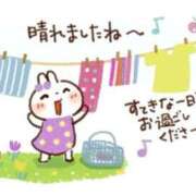 ヒメ日記 2025/04/12 09:02 投稿 早川まお 五十路マダムエクスプレス横浜店（カサブランカグループ）