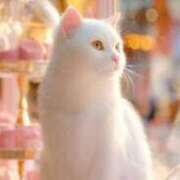 ヒメ日記 2026/02/14 12:18 投稿 早川まお 五十路マダムエクスプレス横浜店（カサブランカグループ）