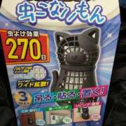 ヒメ日記 2026/06/15 20:32 投稿 早川まお 五十路マダムエクスプレス横浜店（カサブランカグループ）