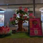 ヒメ日記 2025/02/08 09:26 投稿 仲間理恵 五十路マダムエクスプレス横浜店（カサブランカグループ）