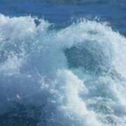 ヒメ日記 2025/03/11 07:46 投稿 仲間理恵 五十路マダムエクスプレス横浜店（カサブランカグループ）