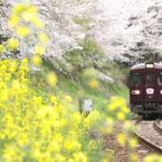 ヒメ日記 2025/05/16 07:48 投稿 仲間理恵 五十路マダムエクスプレス横浜店（カサブランカグループ）