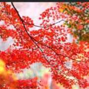 ヒメ日記 2025/10/21 14:28 投稿 仲間理恵 五十路マダムエクスプレス横浜店（カサブランカグループ）