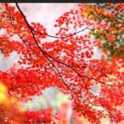 ヒメ日記 2025/10/21 14:30 投稿 仲間理恵 五十路マダムエクスプレス横浜店（カサブランカグループ）