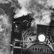 ヒメ日記 2025/11/19 07:50 投稿 仲間理恵 五十路マダムエクスプレス横浜店（カサブランカグループ）