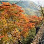 ヒメ日記 2026/01/14 08:34 投稿 仲間理恵 五十路マダムエクスプレス横浜店（カサブランカグループ）