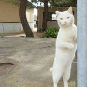 ヒメ日記 2025/10/20 18:46 投稿 清水智子 五十路マダムエクスプレス横浜店（カサブランカグループ）