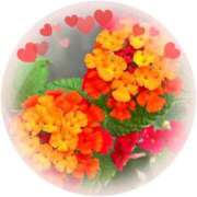 ヒメ日記 2025/06/25 13:02 投稿 荻原あかり 五十路マダムエクスプレス横浜店（カサブランカグループ）