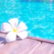 松本弘子 ありがとうございました〜 五十路マダムエクスプレス横浜店（カサブランカグループ）