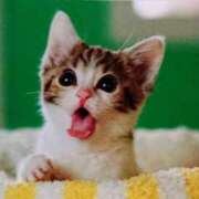 ヒメ日記 2025/09/13 01:38 投稿 有馬優 五十路マダムエクスプレス横浜店（カサブランカグループ）