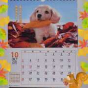 ヒメ日記 2025/10/02 12:14 投稿 有馬優 五十路マダムエクスプレス横浜店（カサブランカグループ）