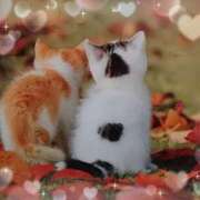 ヒメ日記 2025/10/17 02:12 投稿 有馬優 五十路マダムエクスプレス横浜店（カサブランカグループ）