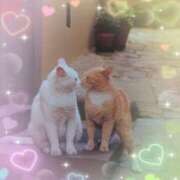 有馬優 17日(金)のありがとう 五十路マダムエクスプレス横浜店（カサブランカグループ）