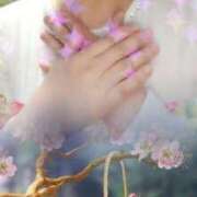 ヒメ日記 2025/04/05 18:22 投稿 砂川 珠 五十路マダムエクスプレス横浜店（カサブランカグループ）