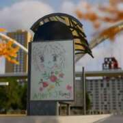 ヒメ日記 2025/11/22 23:54 投稿 砂川 珠 五十路マダムエクスプレス横浜店（カサブランカグループ）