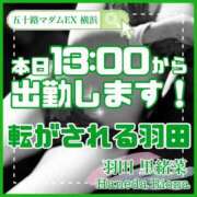 ヒメ日記 2024/01/16 09:46 投稿 羽田里緒菜 五十路マダムエクスプレス横浜店（カサブランカグループ）